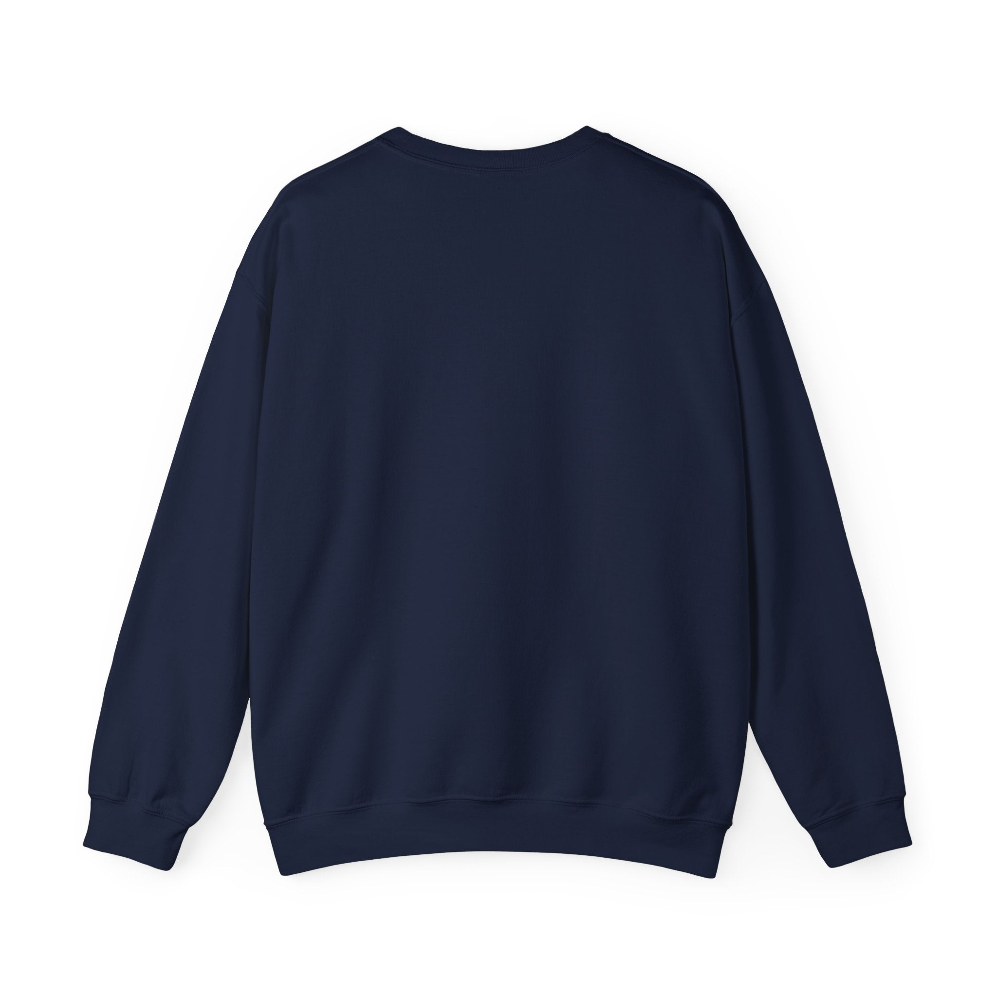 Cute Kitten Crewneck Sweatshirt — 'MEOW' Cat Graphic Pullover