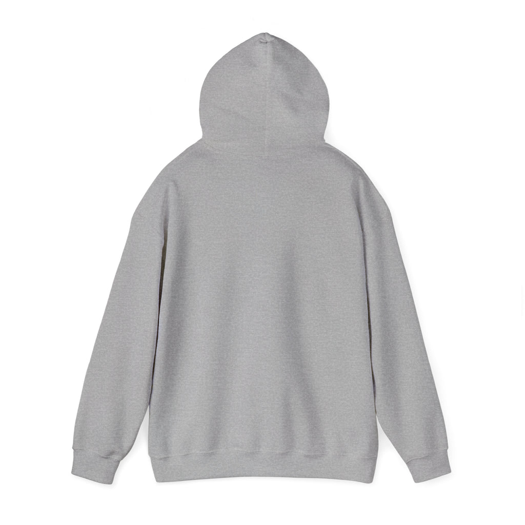Cat 'Meaw' Graphic Hoodie — Cute Retro Cat Chest Print