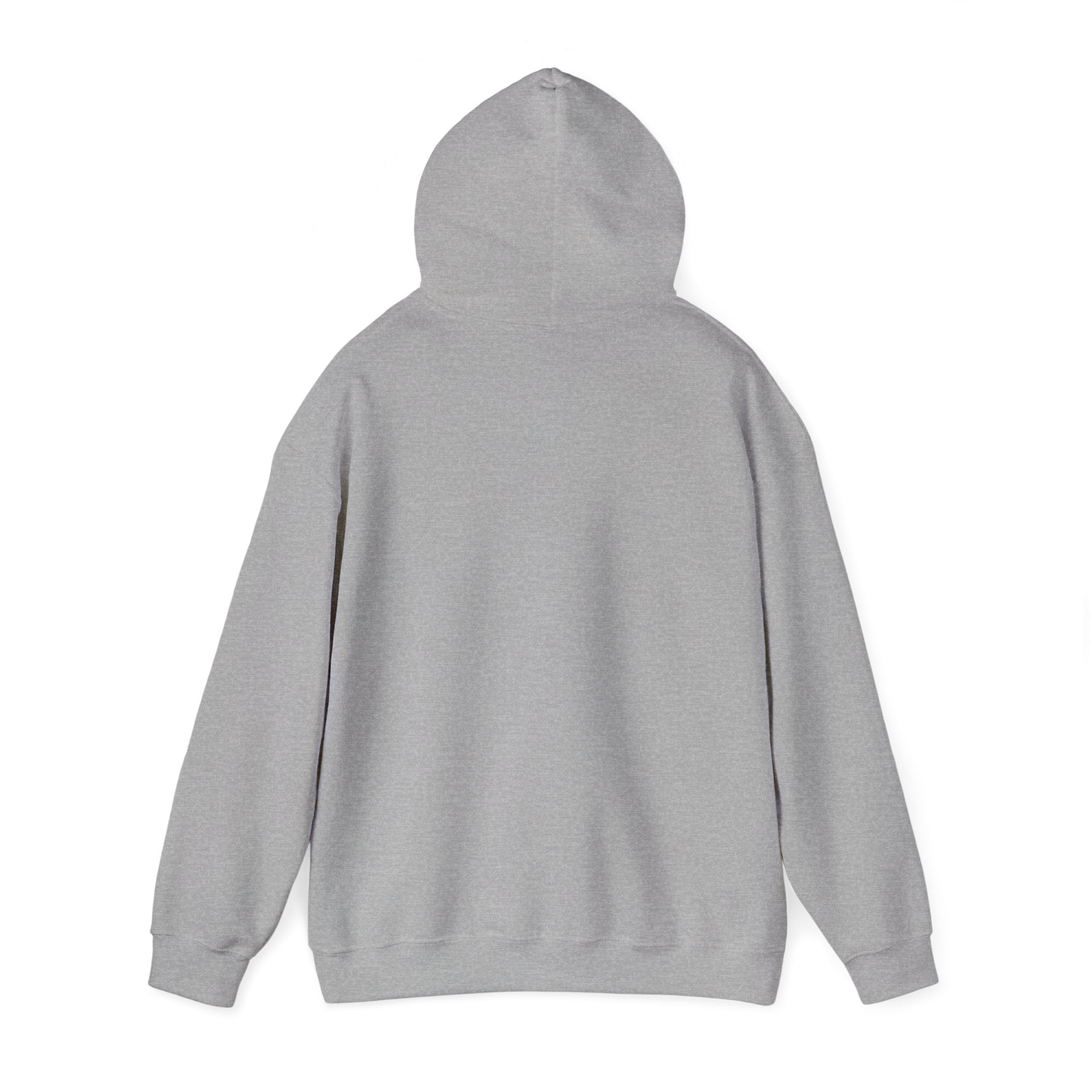 Cat 'Meaw' Graphic Hoodie — Cute Retro Cat Chest Print