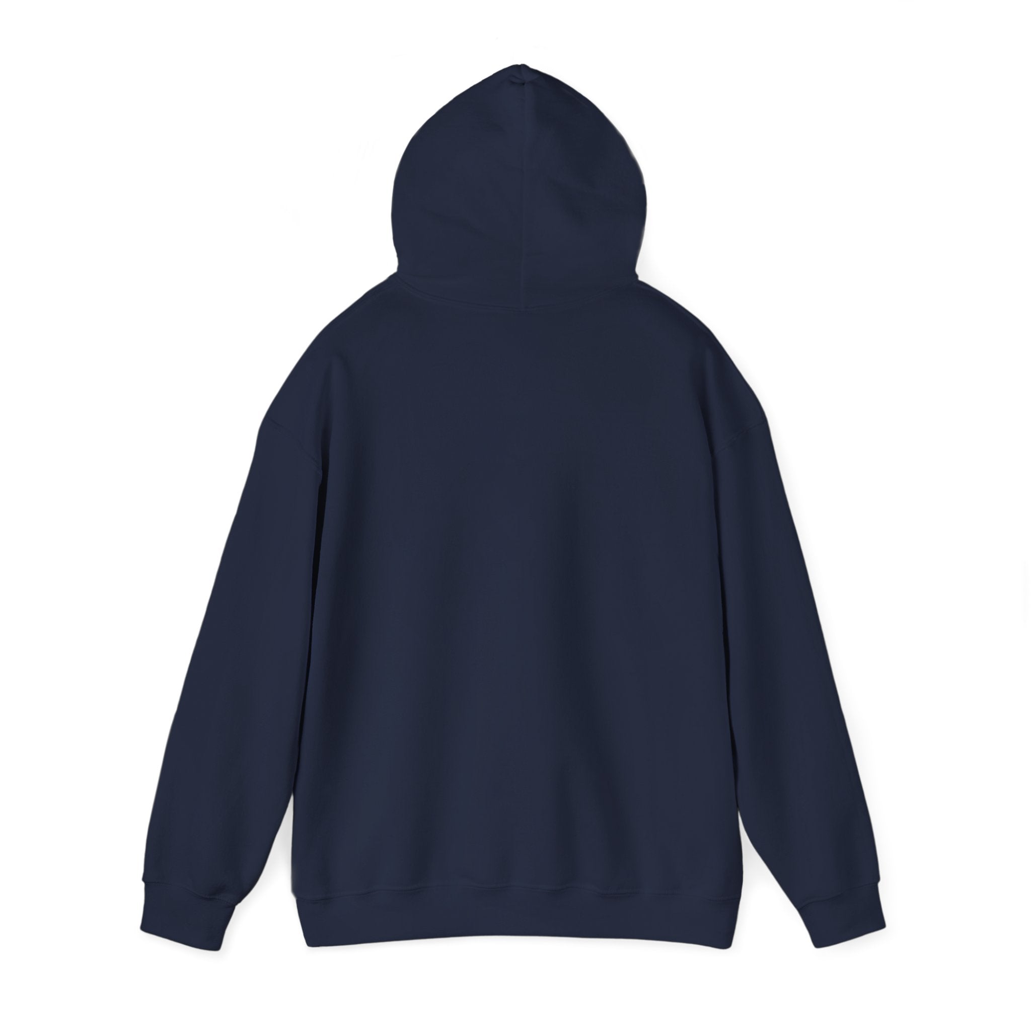 Cat 'Meaw' Graphic Hoodie — Cute Retro Cat Chest Print
