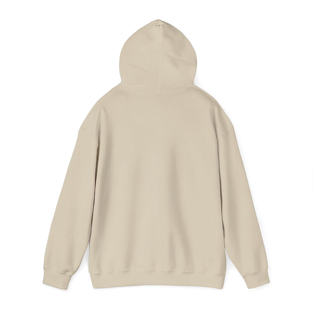 Cat 'Meaw' Graphic Hoodie — Cute Retro Cat Chest Print