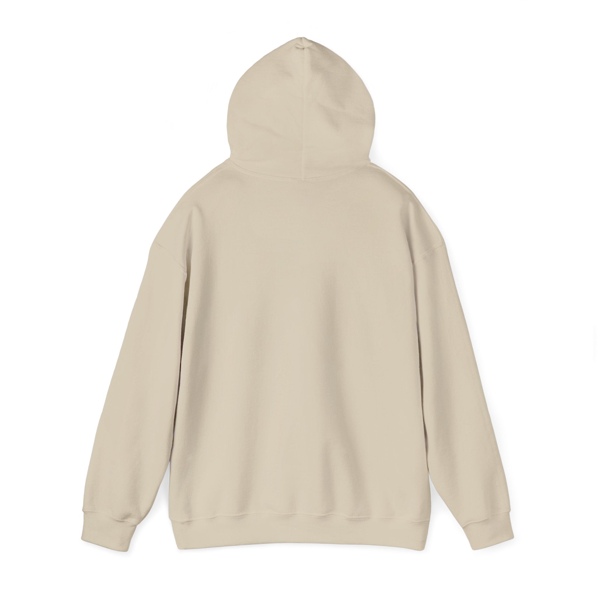 Cat 'Meaw' Graphic Hoodie — Cute Retro Cat Chest Print