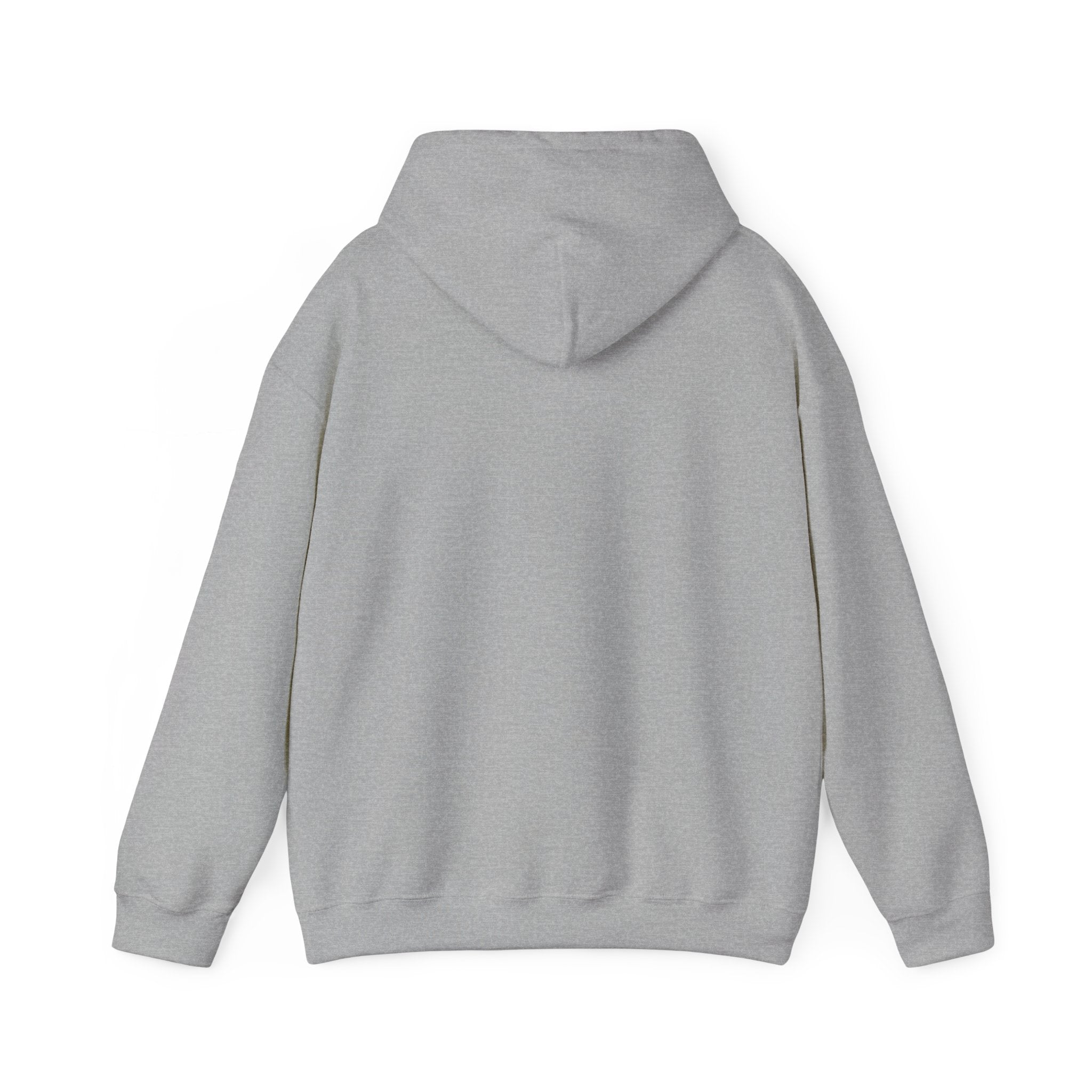 Cat 'Meaw' Graphic Hoodie — Cute Retro Cat Chest Print