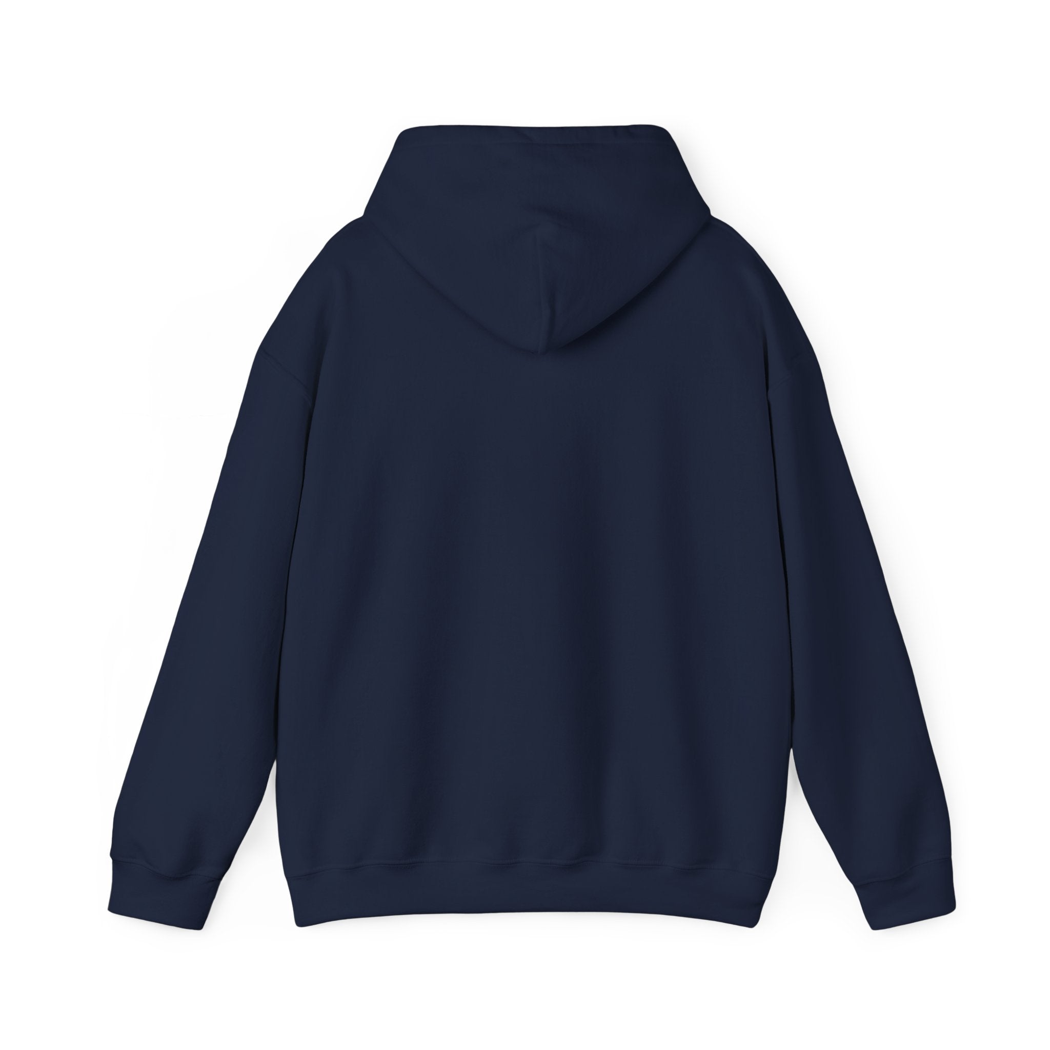 Cat 'Meaw' Graphic Hoodie — Cute Retro Cat Chest Print
